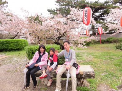 和歌山城で花見
